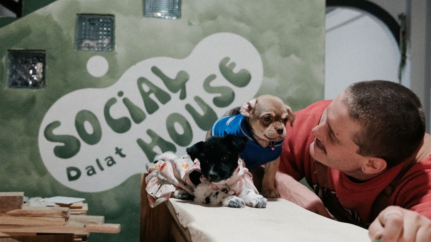 Socialhouse Dalat 로고 벽 앞, 스웨터를 입은 두 마리 강아지