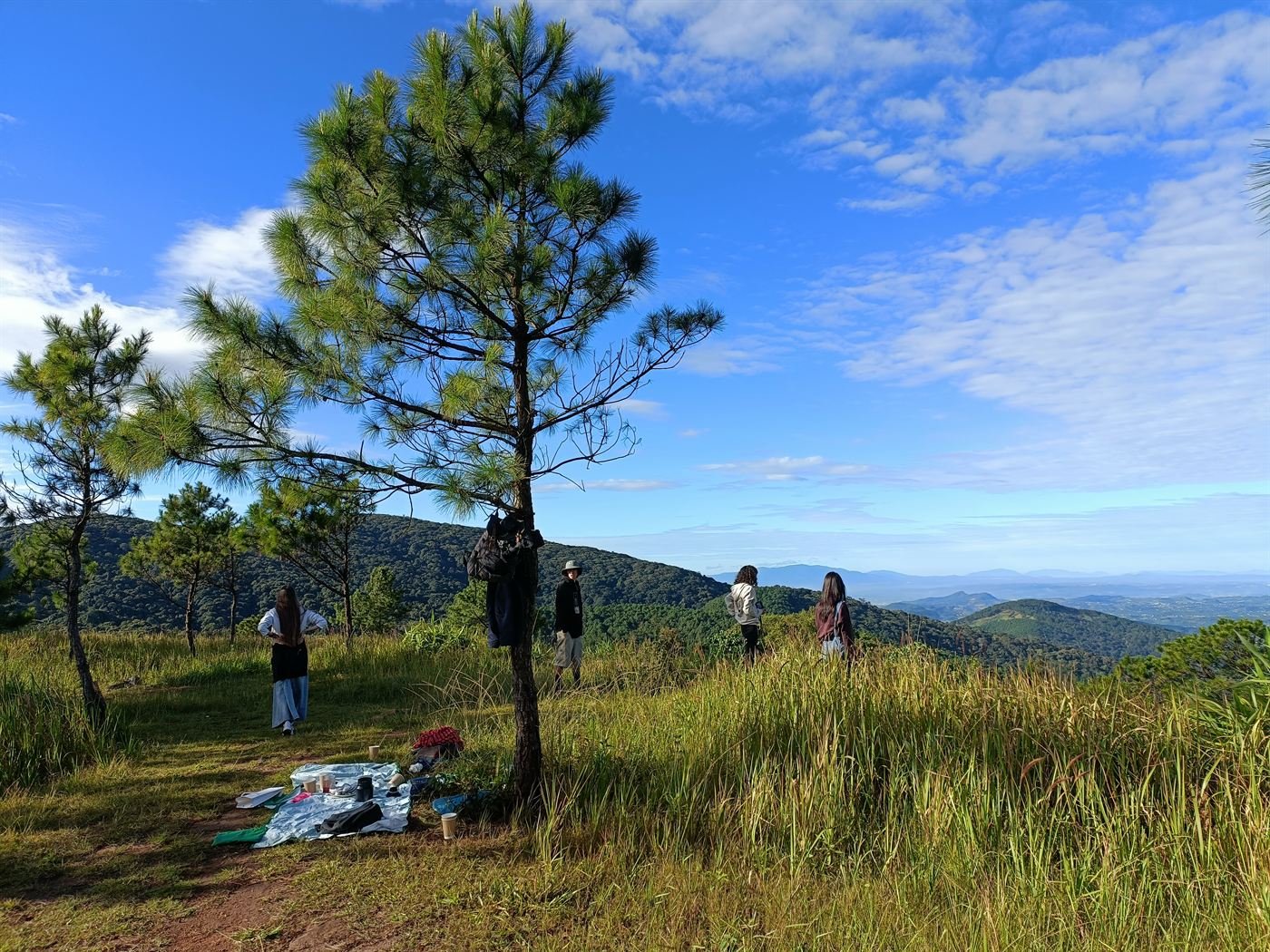 Picnic under a pine tree with a view over the hills