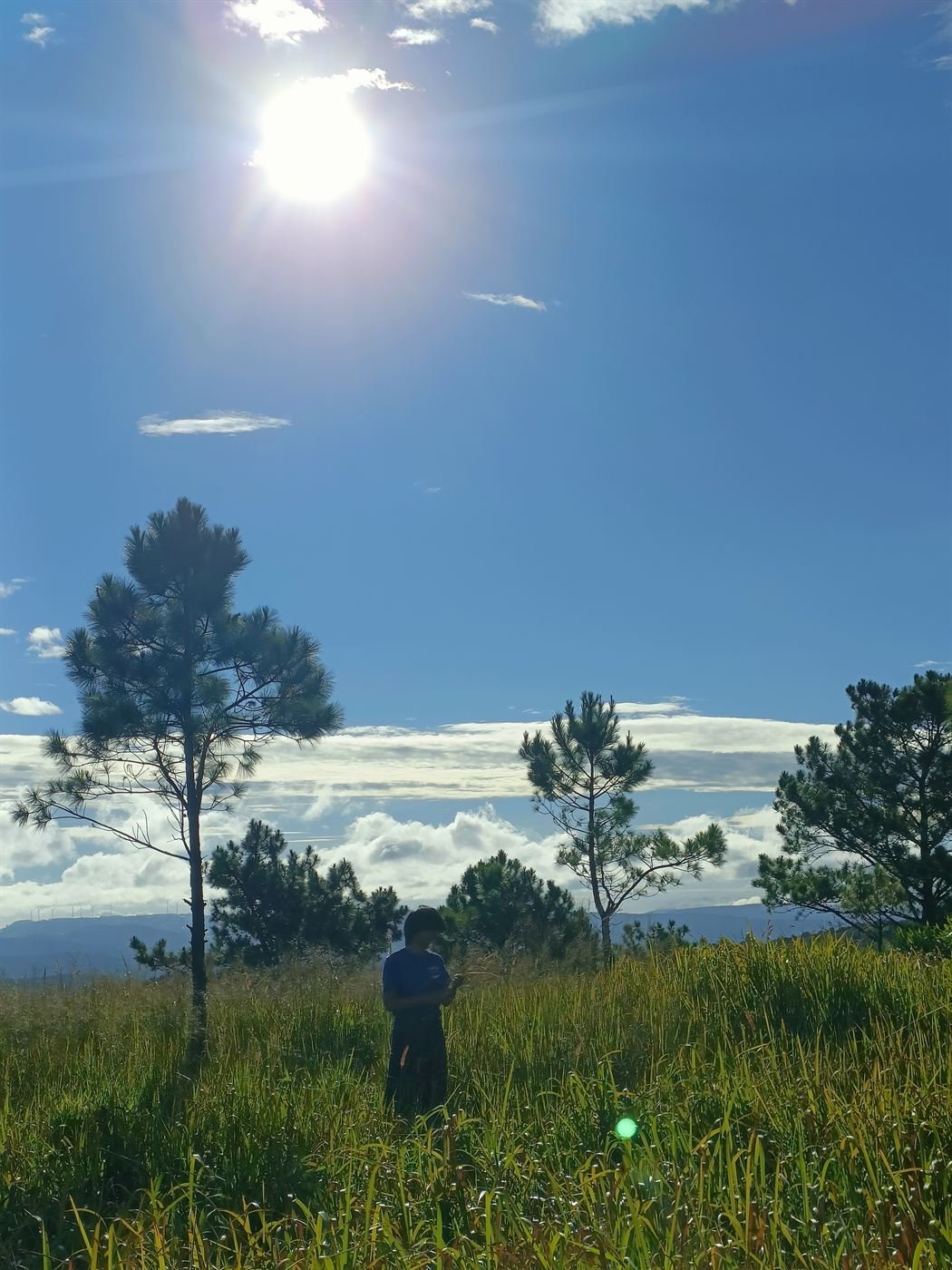 Bright sun over the pine hills around Đà Lạt