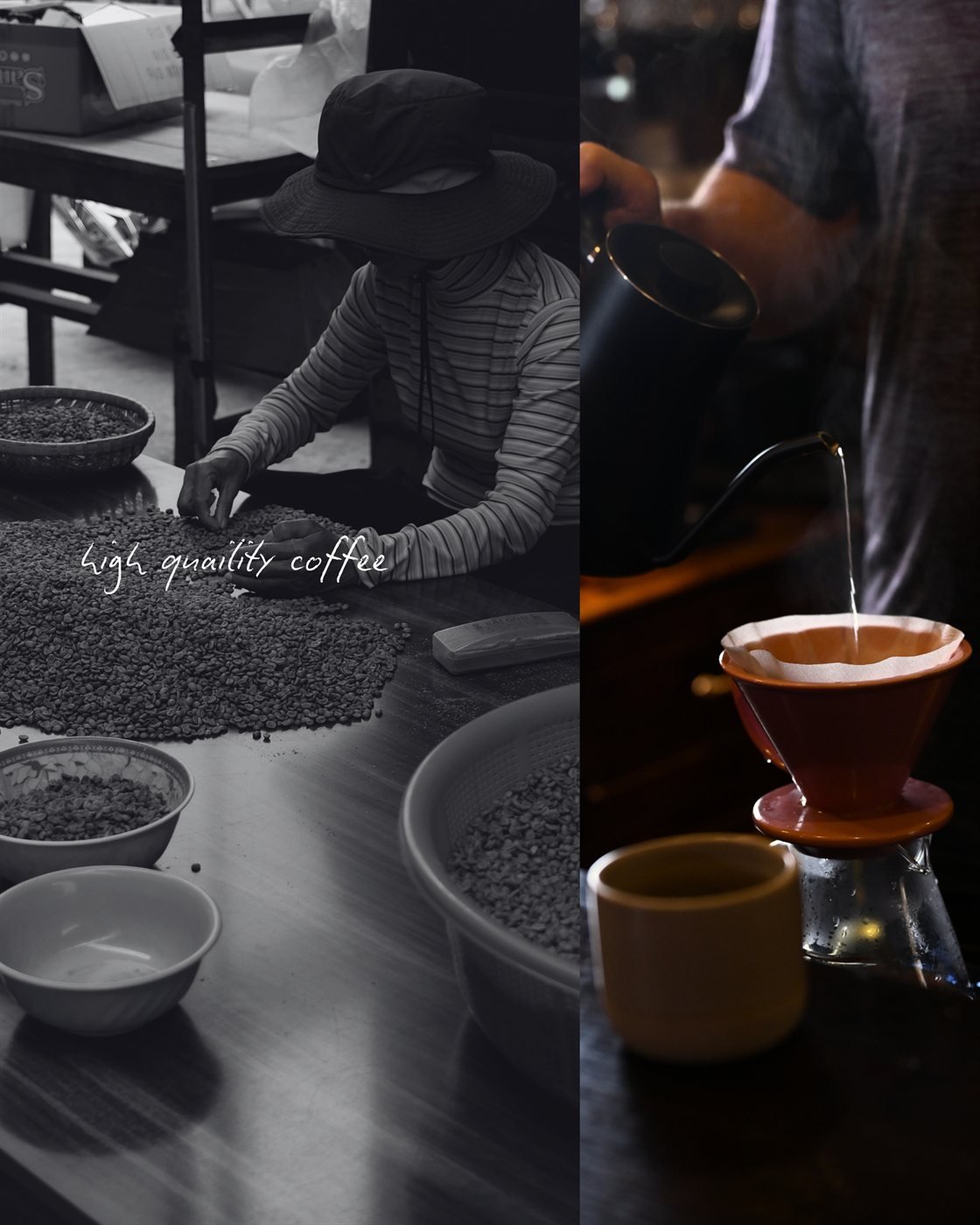 High quality coffee: sorting beans by hand and pour-over brewing